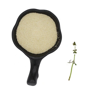 manufacturer halal powder food Additive Gelatin from China